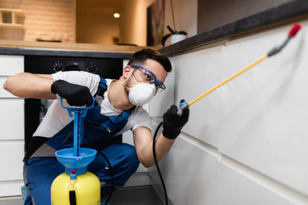 Reliable La Harpe, IL Pest Control Solutions