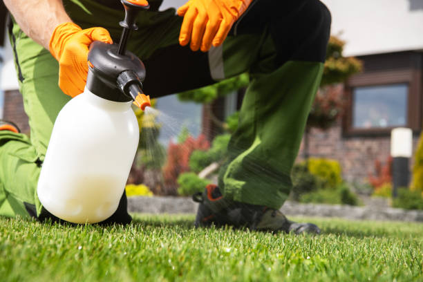Best Best Pest Control Companies  in La Harpe, IL