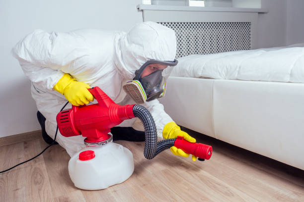 Best Pest Control Near Me  in La Harpe, IL