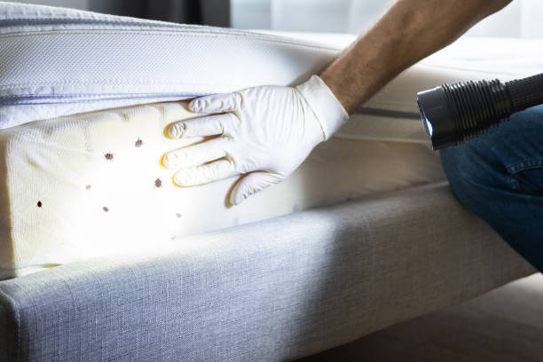 Best Pest Control for Restaurants  in La Harpe, IL