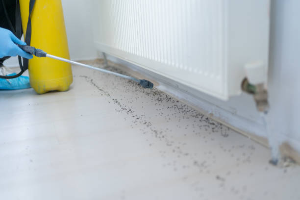 Best Pest Inspection Near Me  in La Harpe, IL
